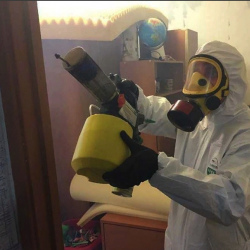 Уничтожение клопов в квартире. Пыть-Ях